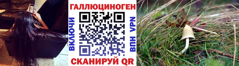 Псилоцибиновые грибы мицелий  Волхов 